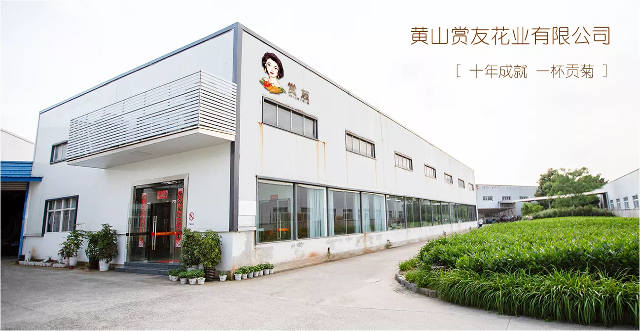 黄山赏友茶业有限公司种植基地